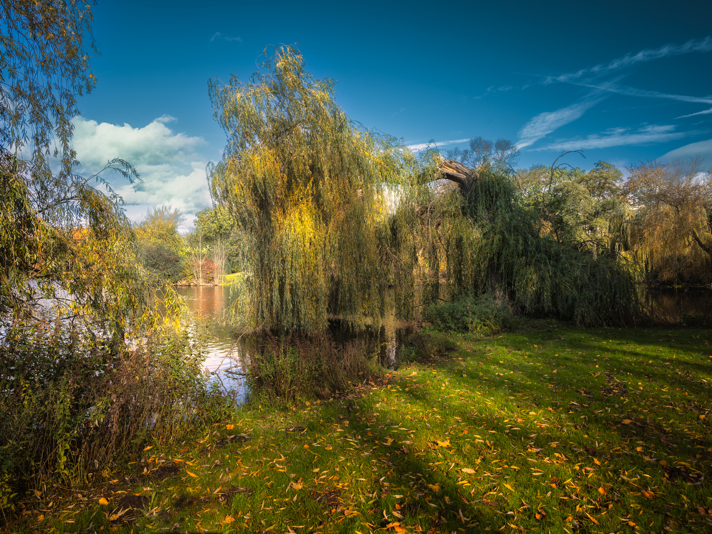 Südteich im Herbstlicht