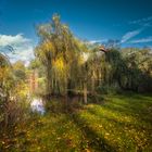 Südteich im Herbstlicht