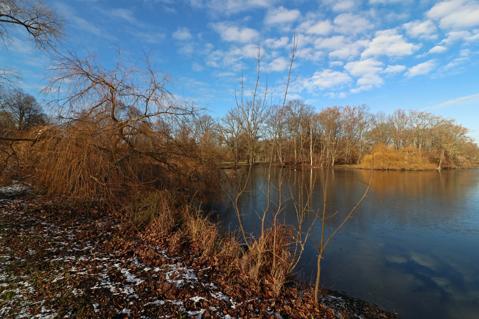 Südteich leicht überfroren