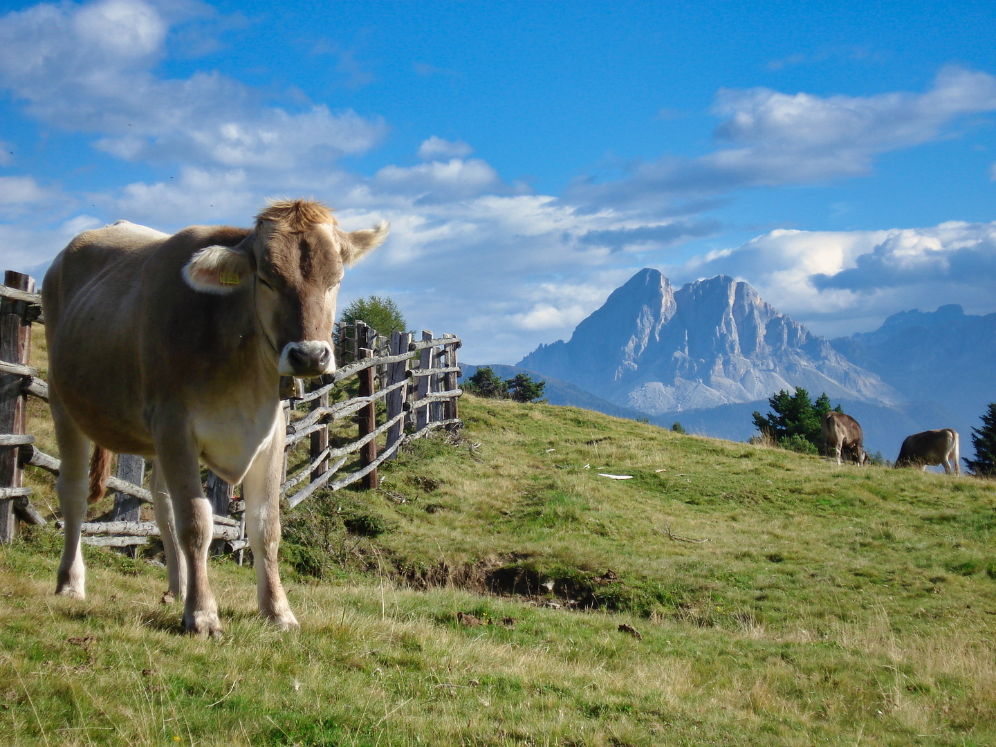 Südtirol 2006