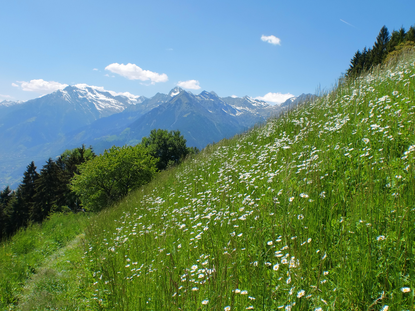 Südtirol 2011