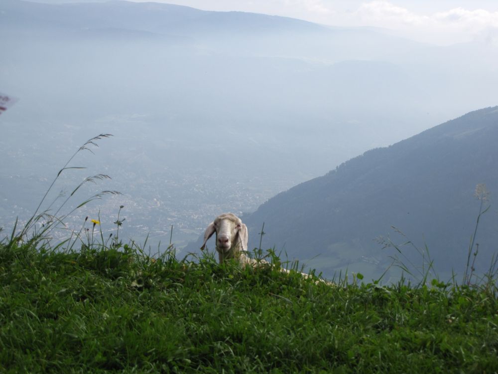 Südtirol 2014