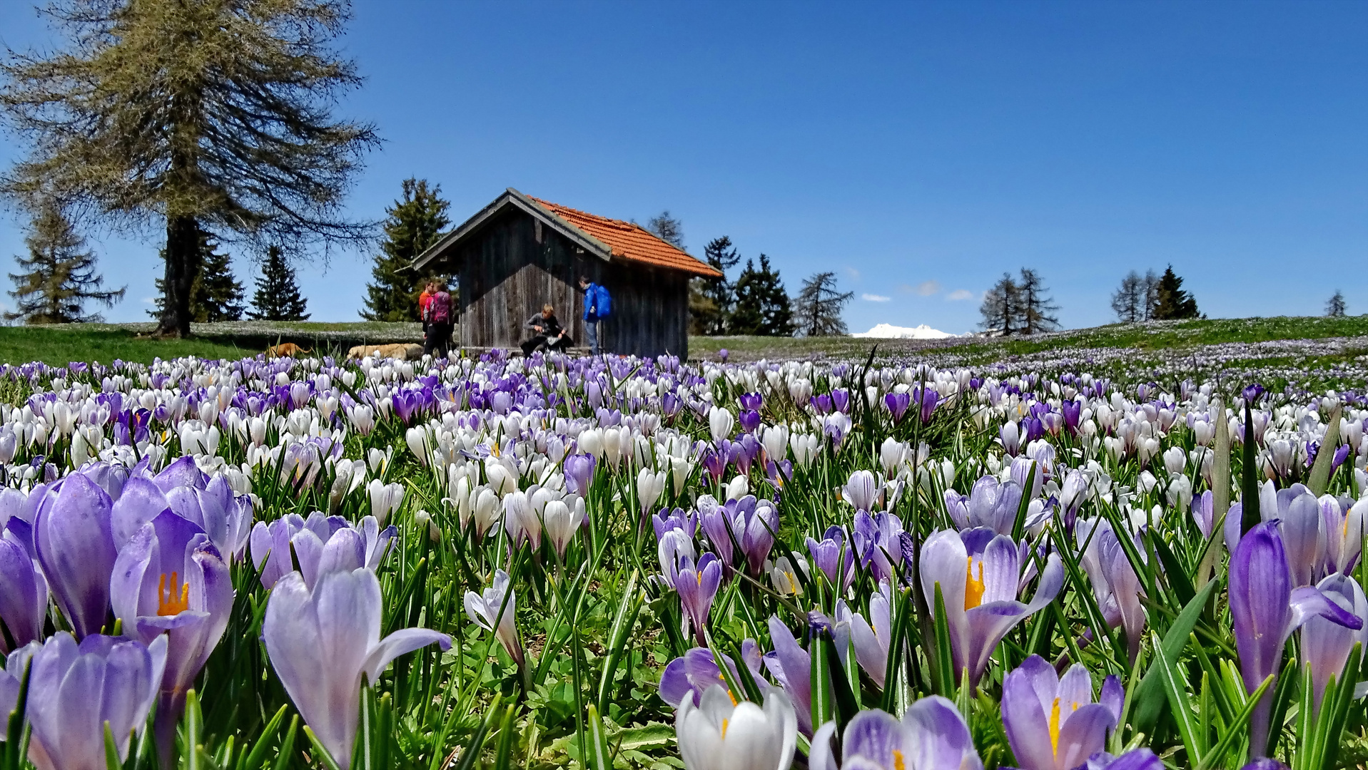 Südtirol 2018