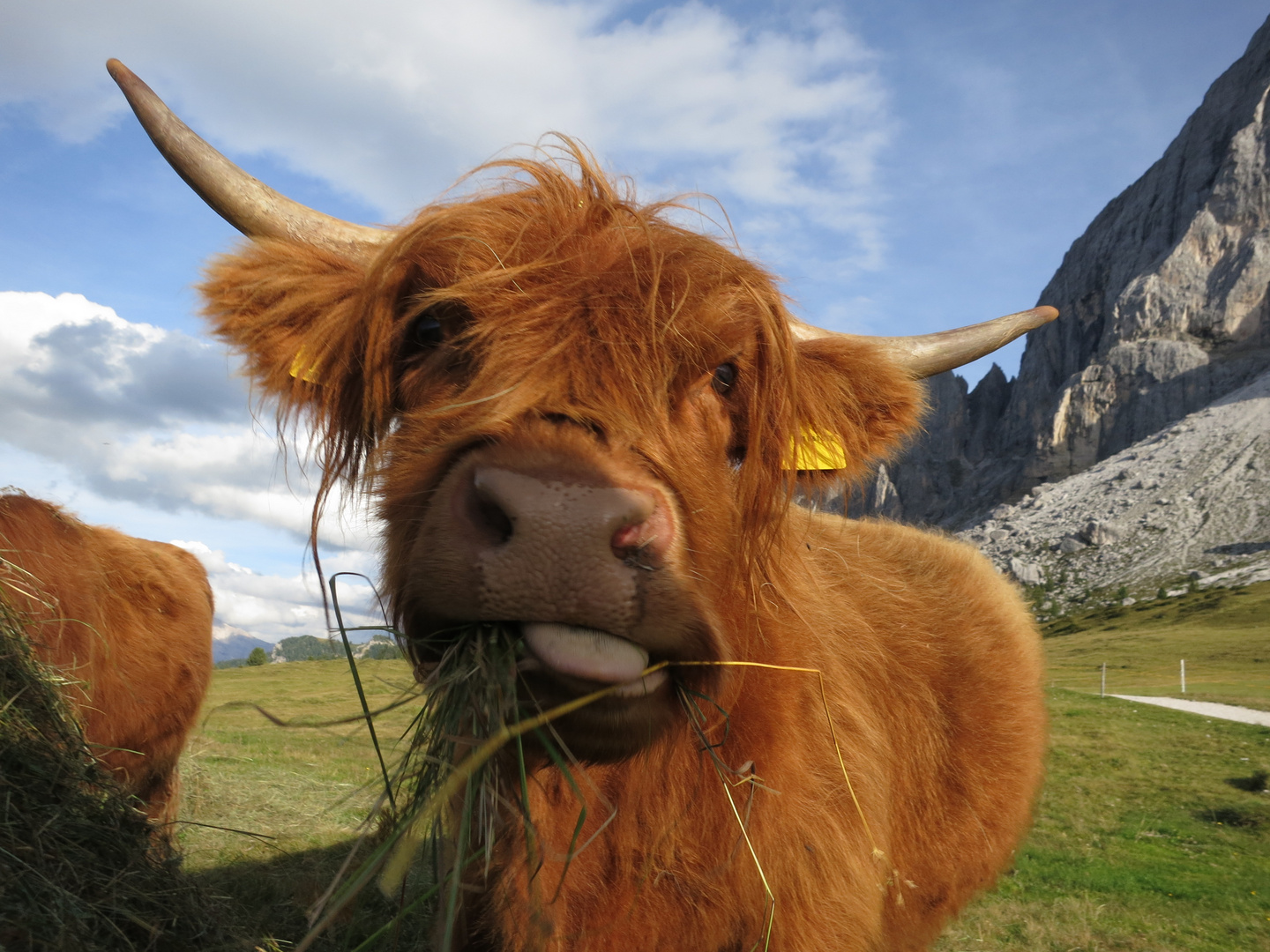 Südtirol #3 - Lecker