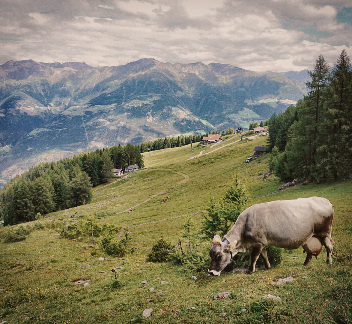 südtirol