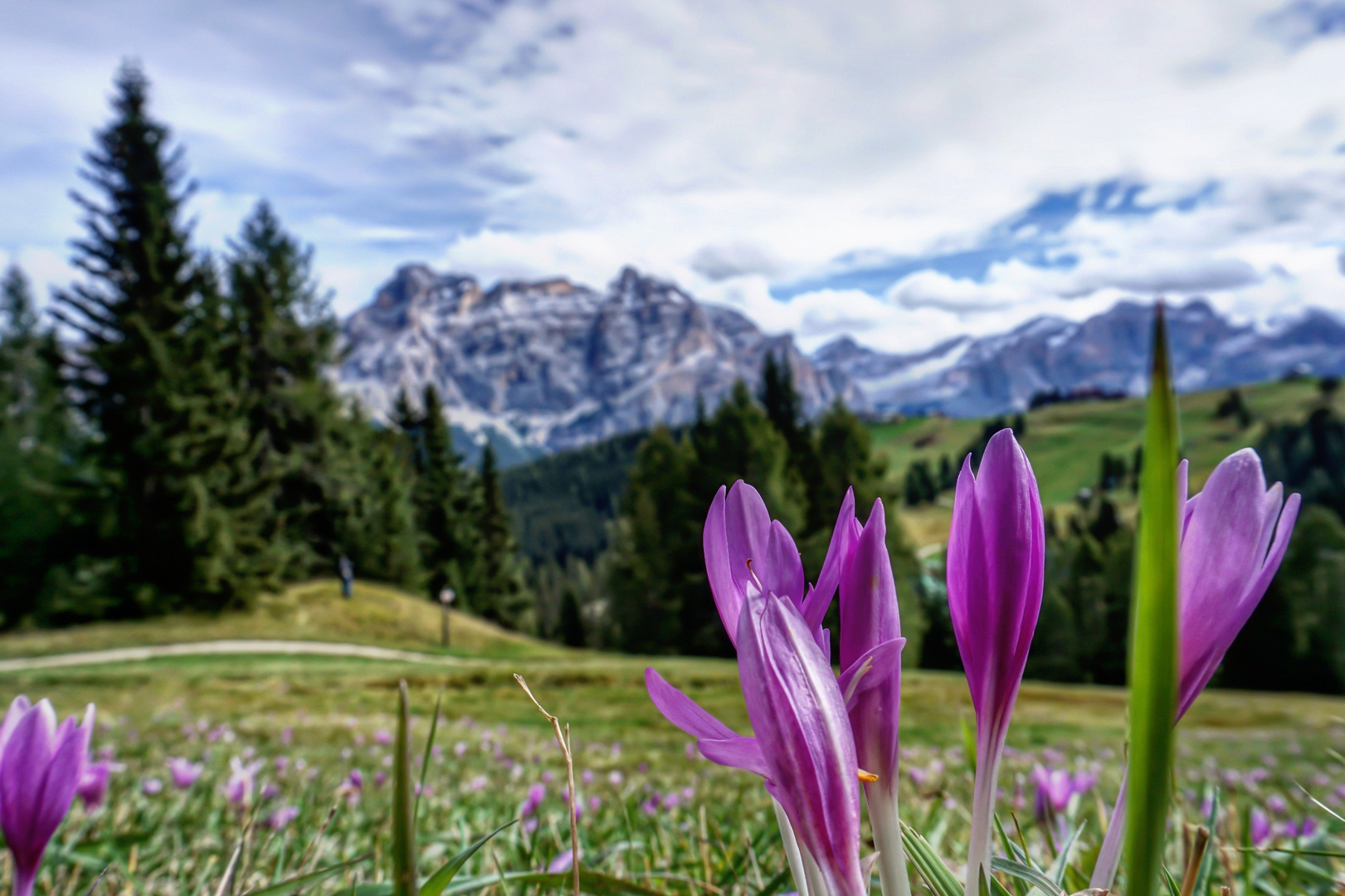 Südtirol 