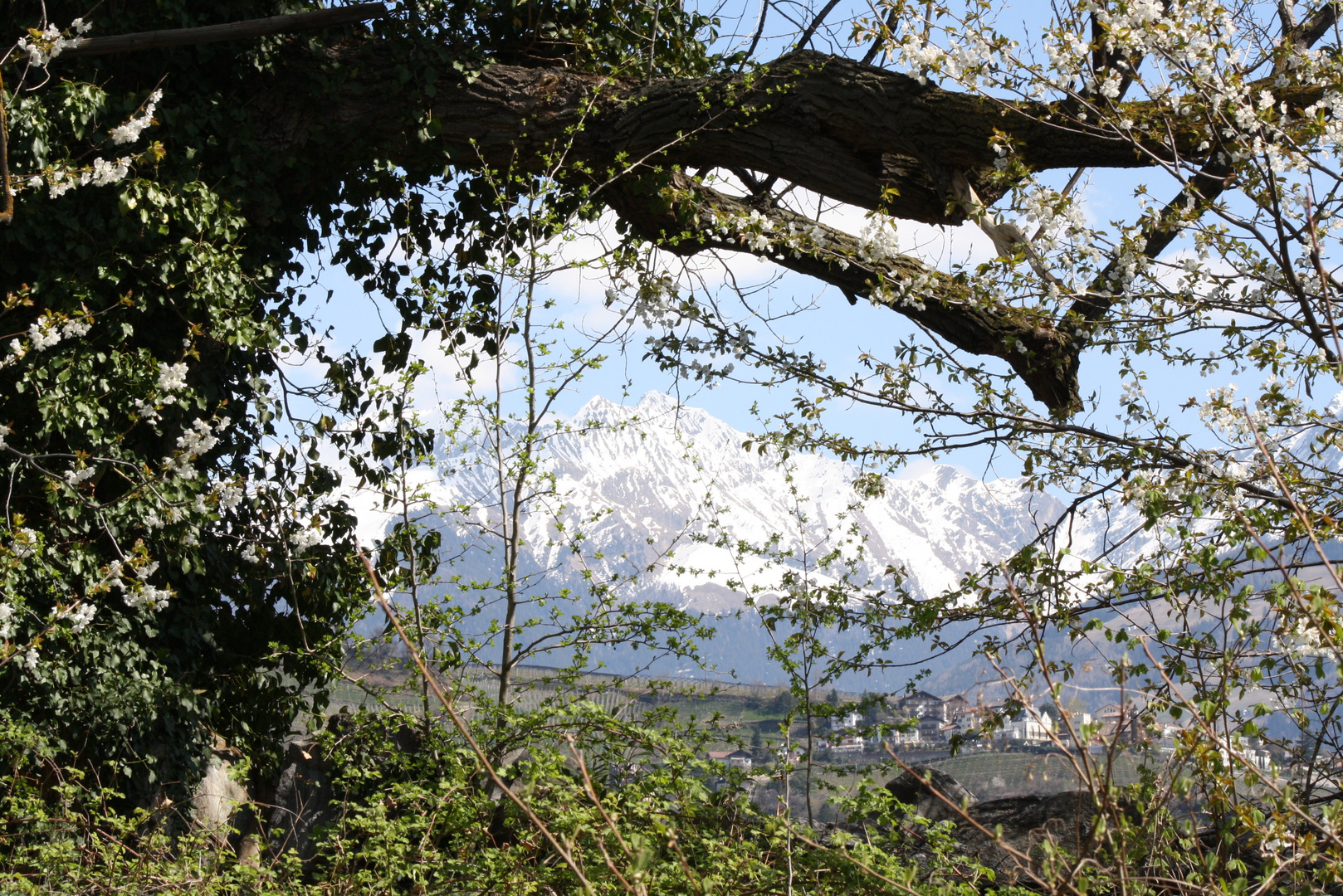 Südtirol Algund Frühjahr 03.2011