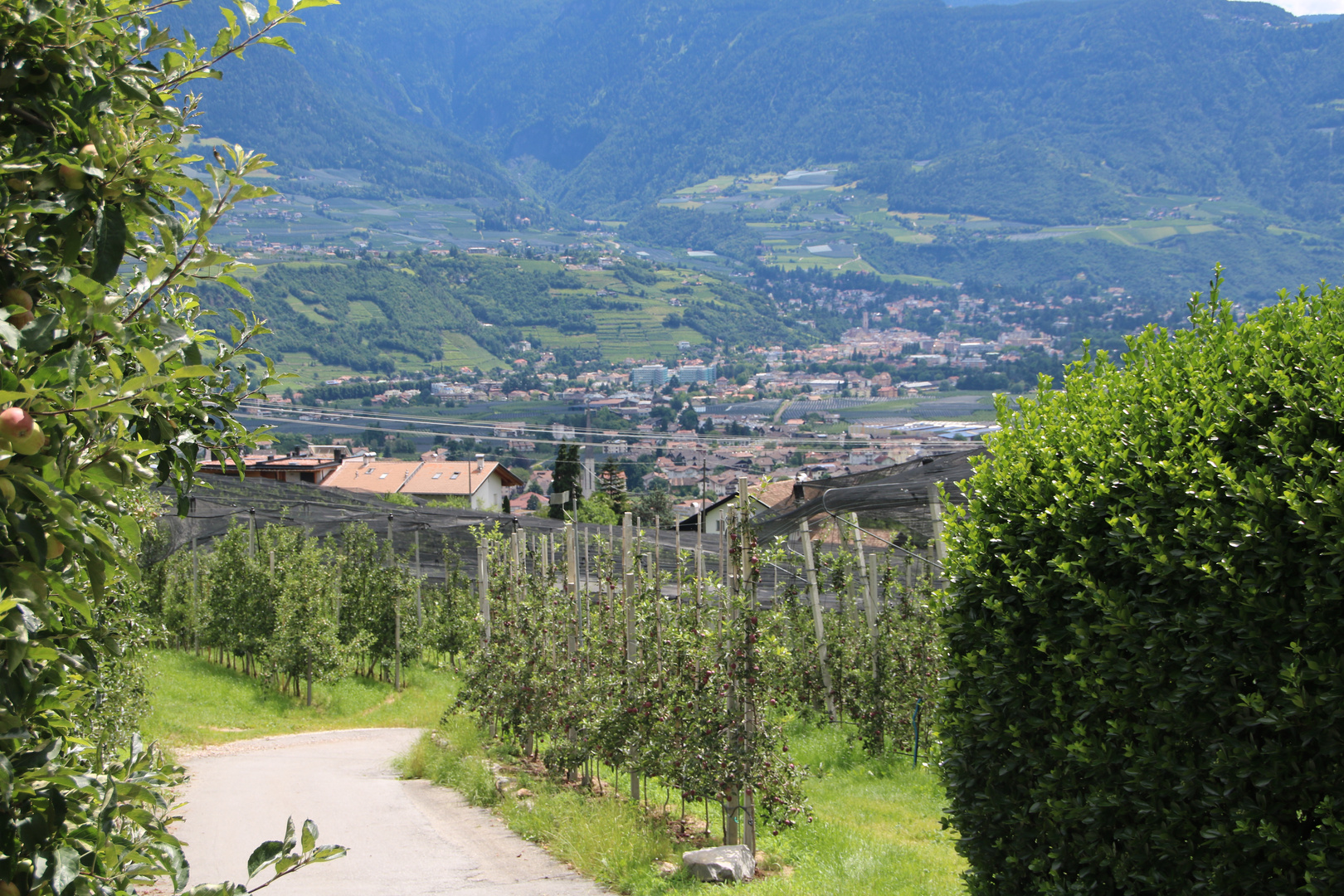 Südtirol - Algunder Waalweg