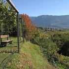 Südtirol. Bank mit Aussicht.