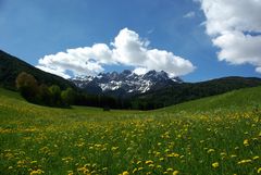 Südtirol, bei Olang