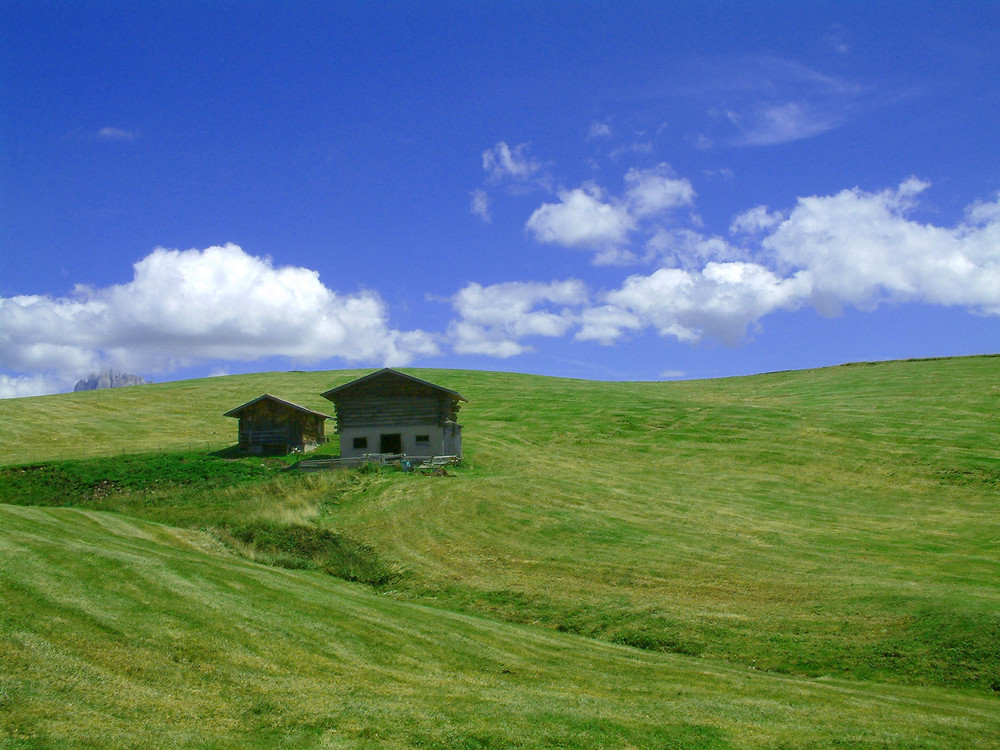 Südtirol Bliss