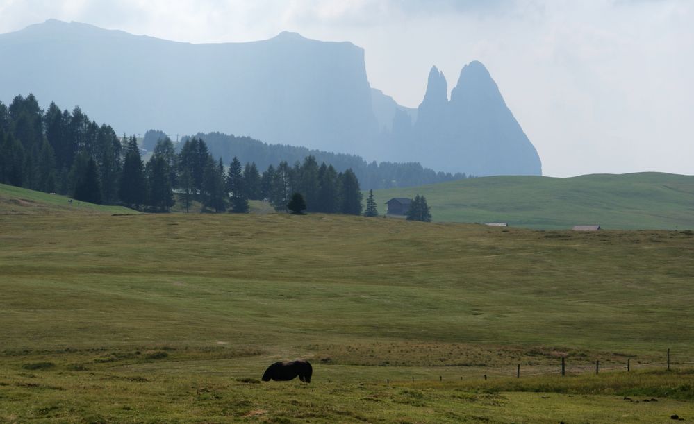 Südtirol: Der Schlern im Gegenlicht