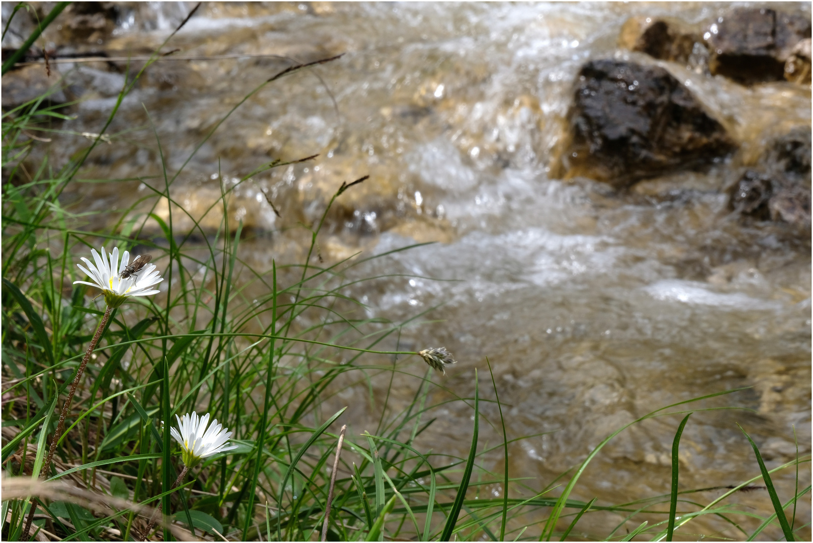 Südtirol I