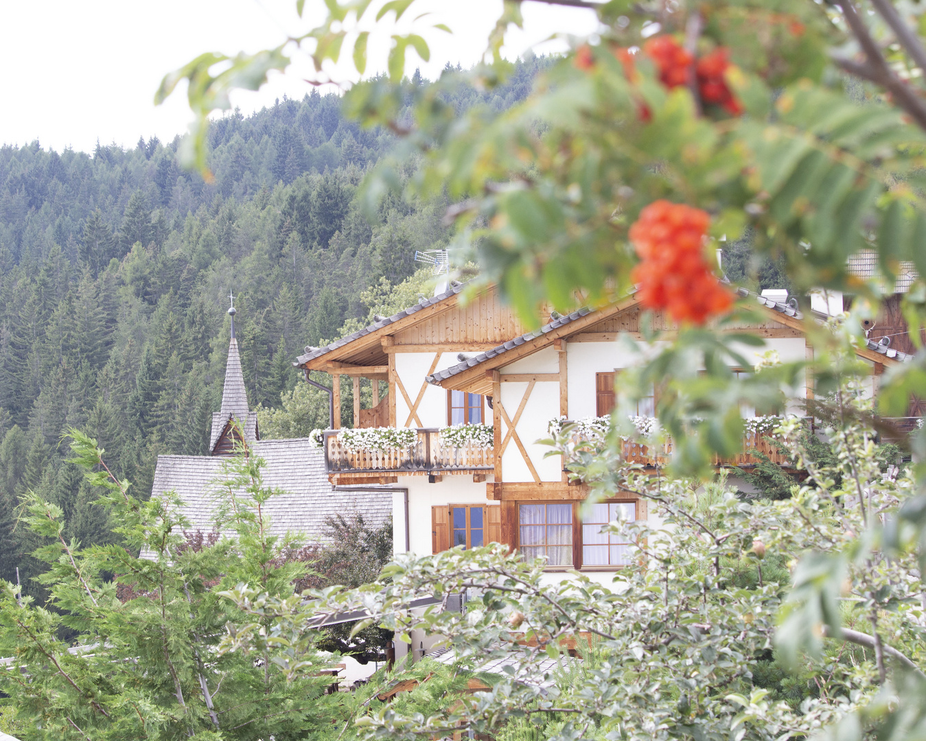 Südtirol Lieblingsalm