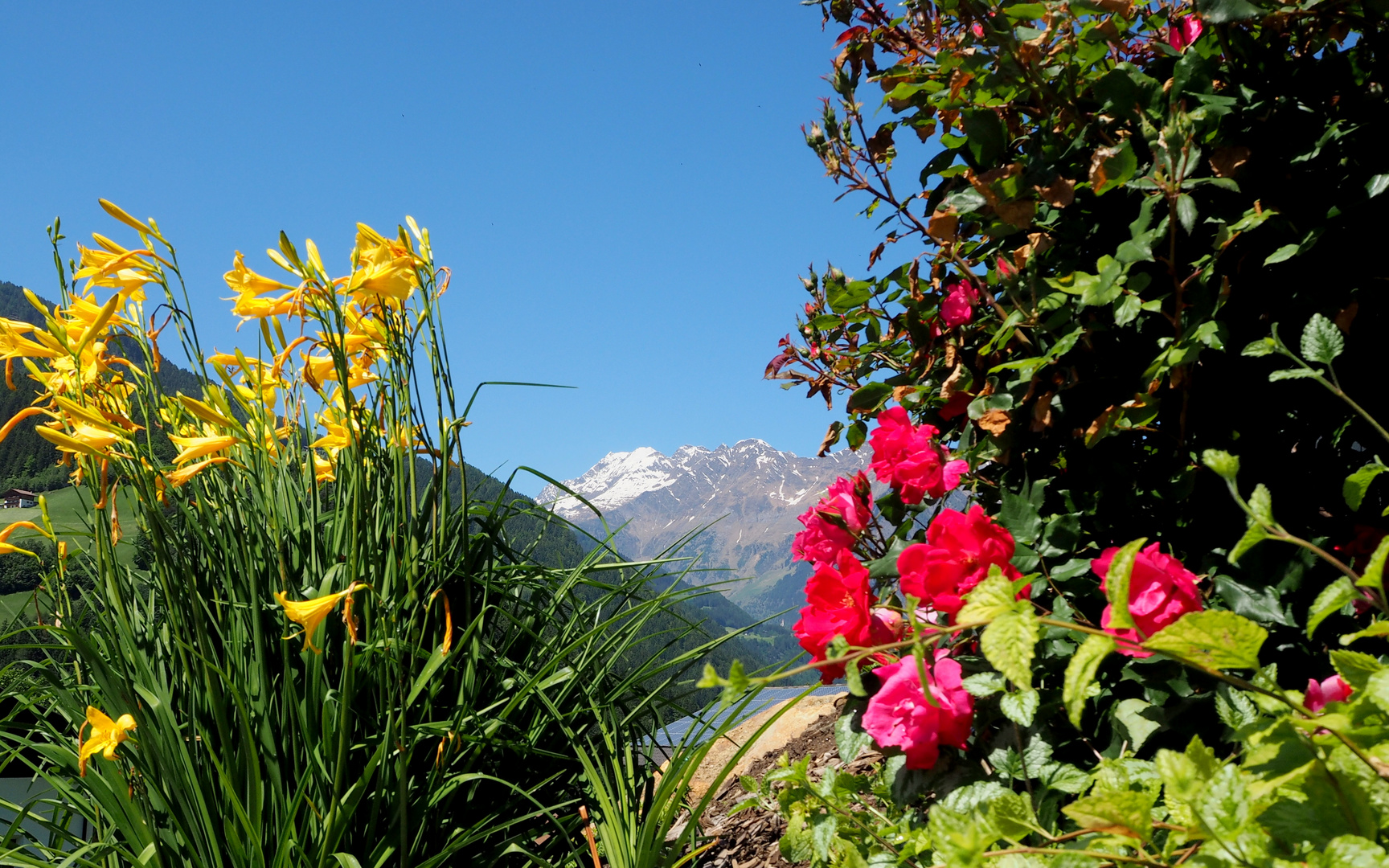 Südtirol  Meran