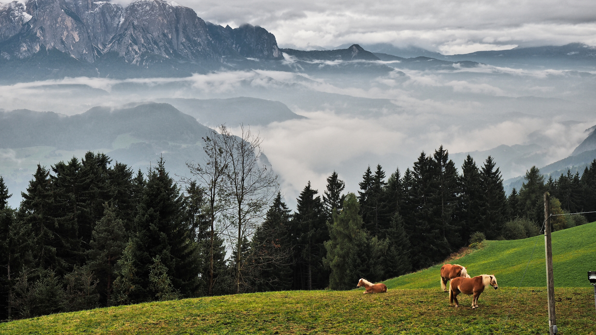 Südtirol Nebel