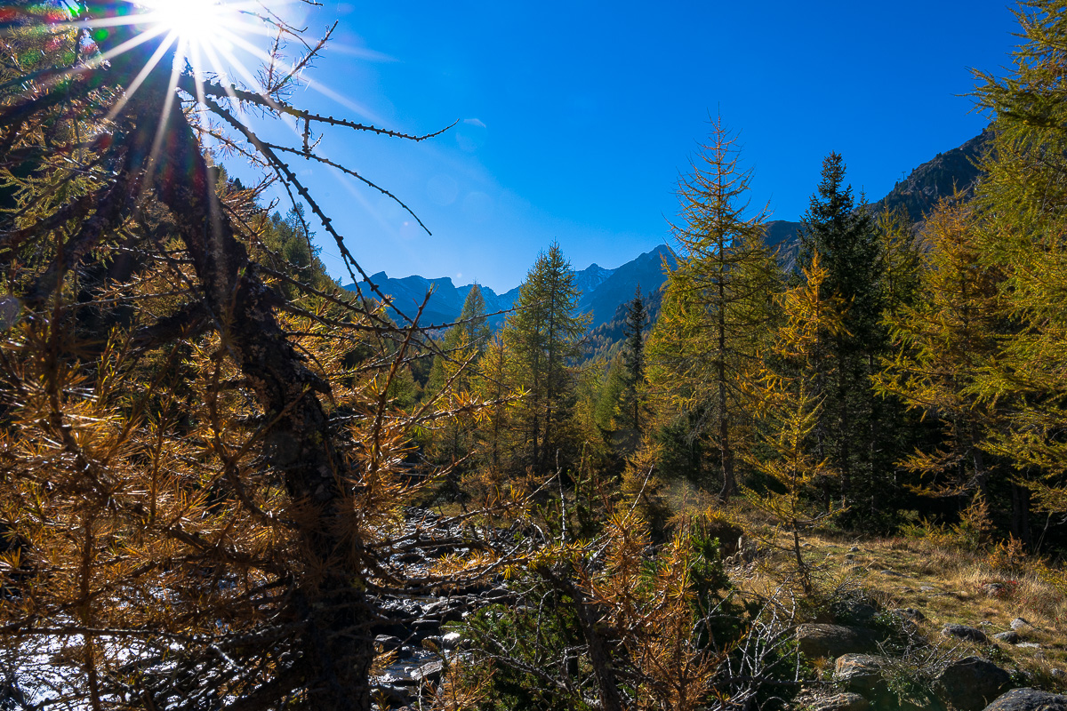 Südtirol Oktober-2629