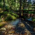 Südtirol - Passerschlucht  (4)