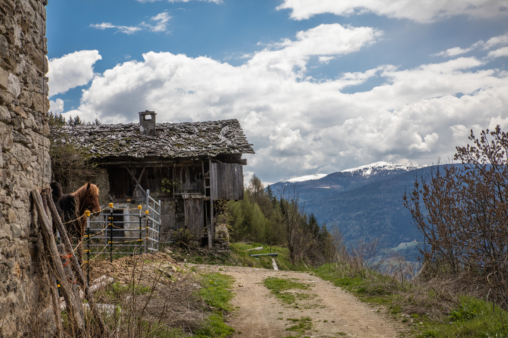 Südtirol Pferd mit alter Scheune