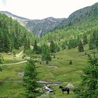 Südtirol Pustertal, Silvesteralm bei Toblach