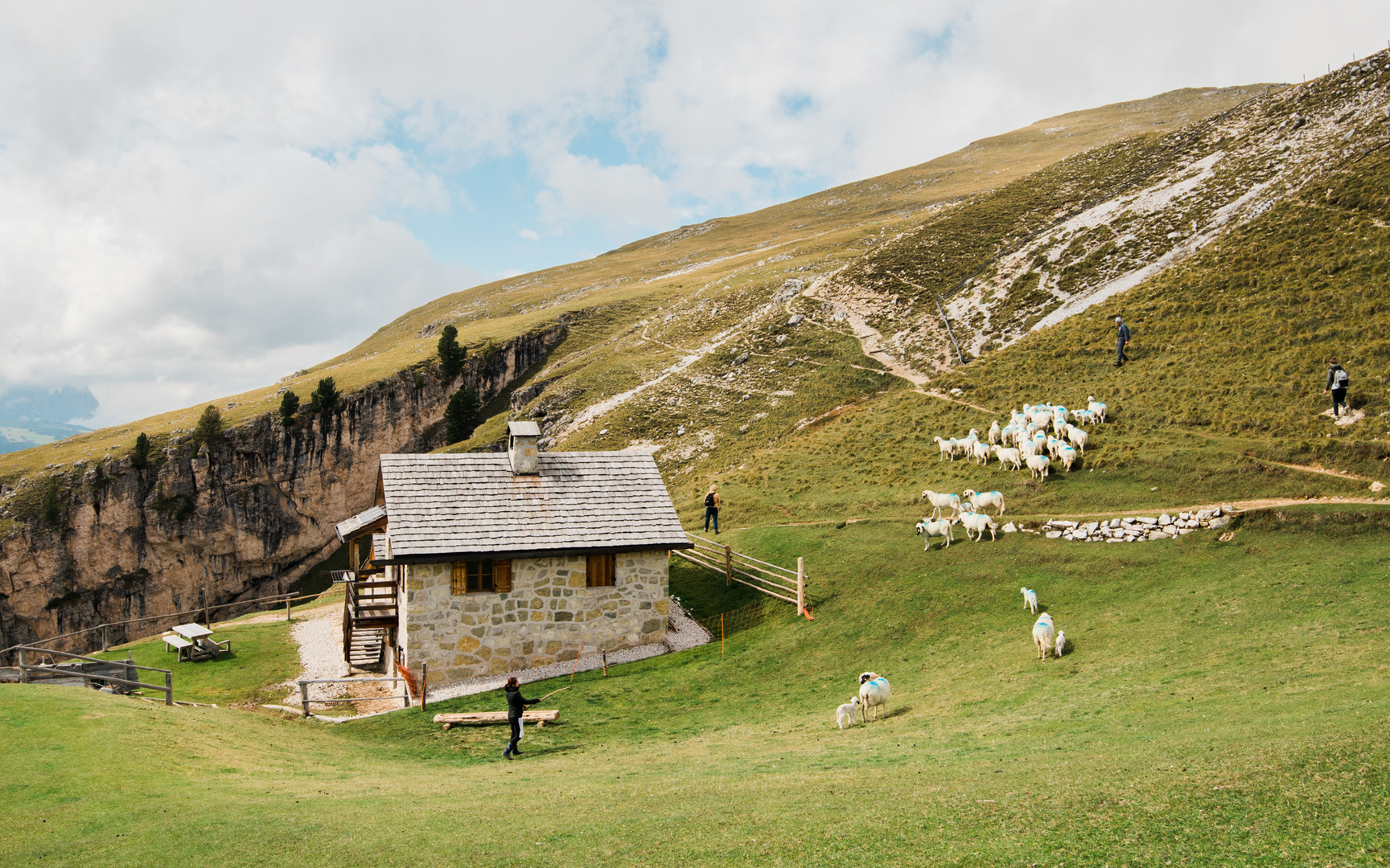 Südtirol Schaafe bei Steviahütte 2017