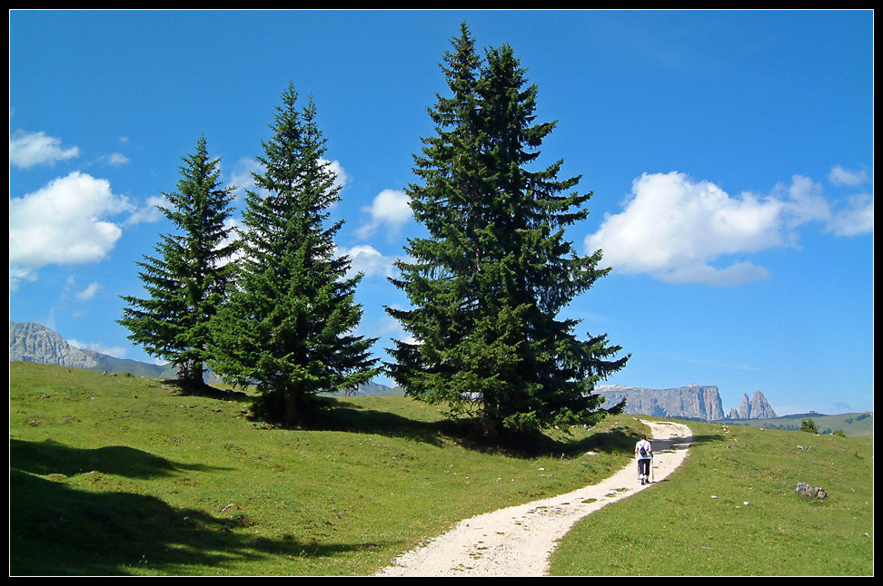 Südtirol: Seiseralm