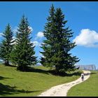 Südtirol: Seiseralm