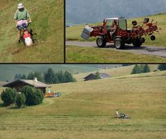 Südtirol: Sense war gestern