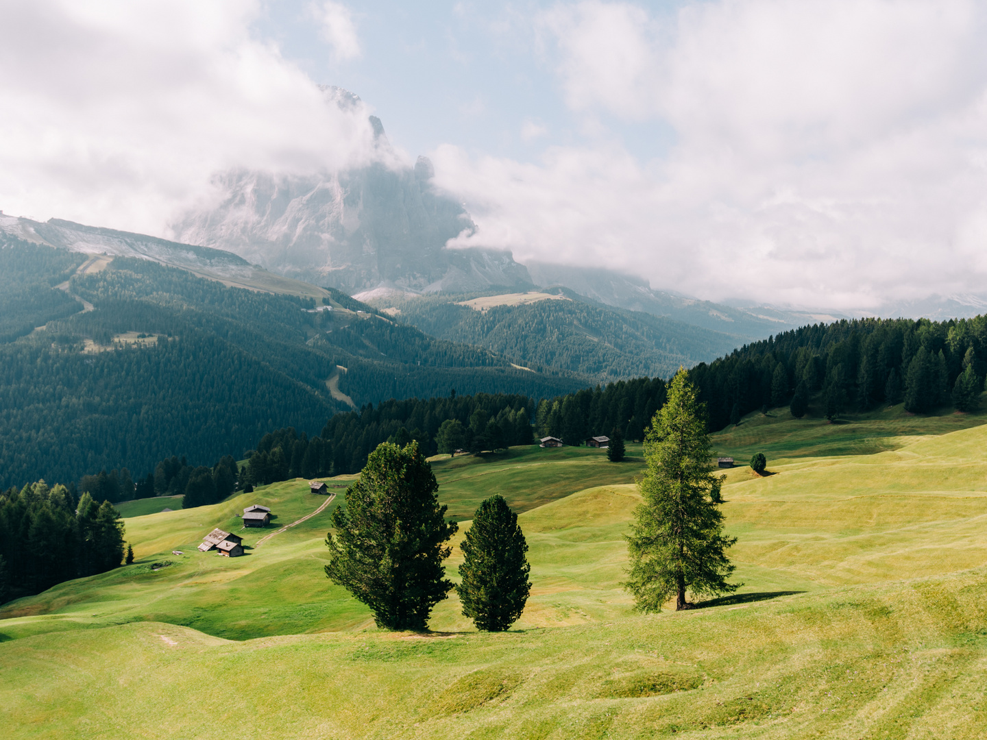 Südtirol Wiese oberhalb Wolkenstein 2017