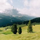 Südtirol Wiese oberhalb Wolkenstein 2017