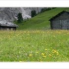 Südtiroler Almhütte (Würzjoch)