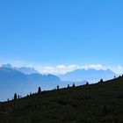 Südtiroler Aussichten