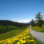 Südtiroler Berge