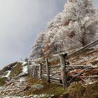 südtiroler Herbst