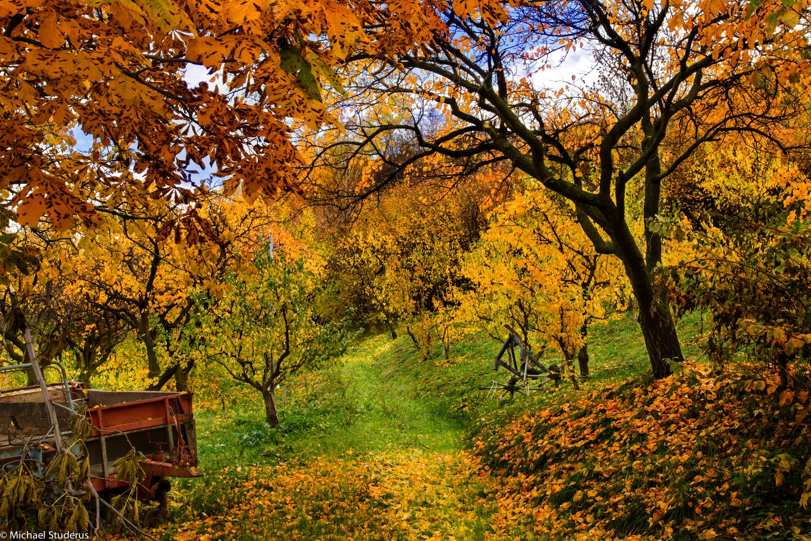 Südtiroler Herbst