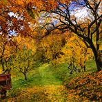 Südtiroler Herbst