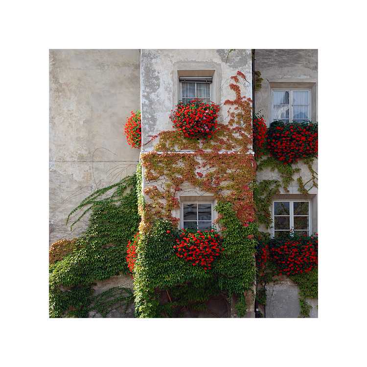 Südtiroler Herbst-Fassade