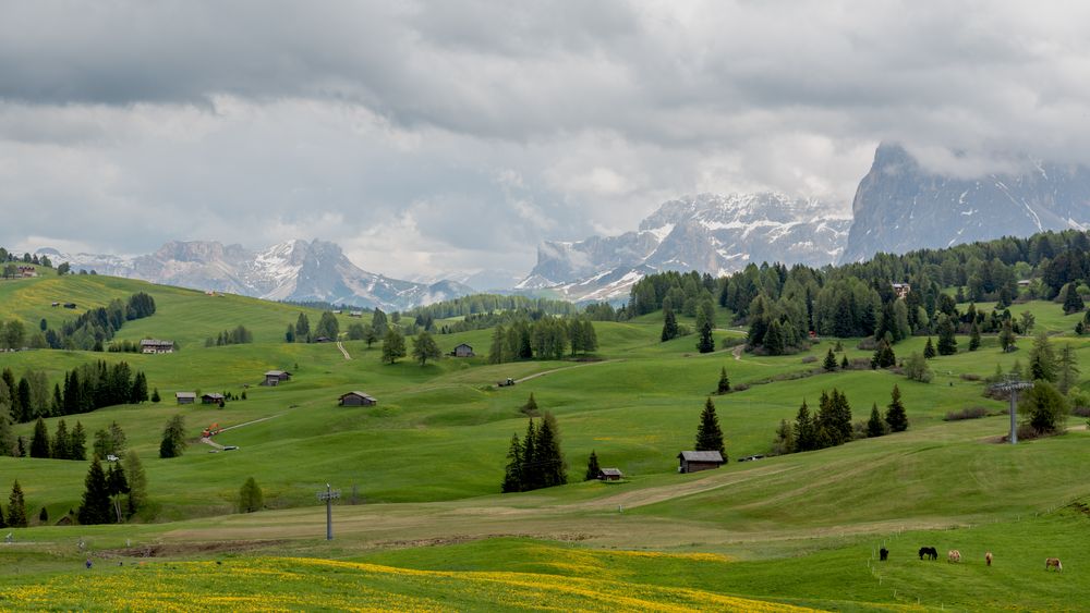 Südtirol_Seiser Alm