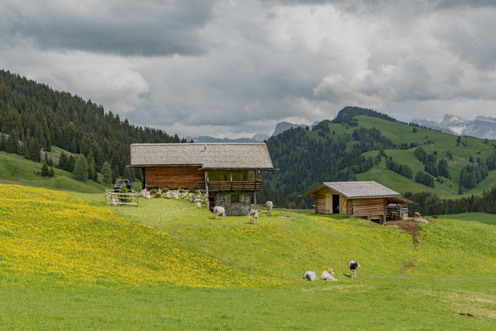 Südtirol_Seiser Alm