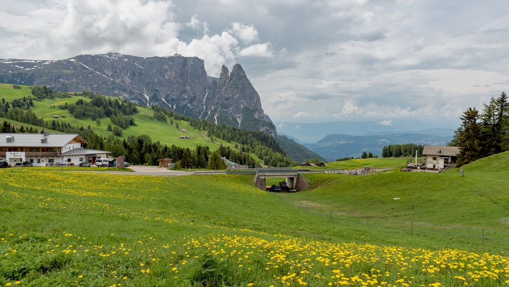 Südtirol_Seiser Alm