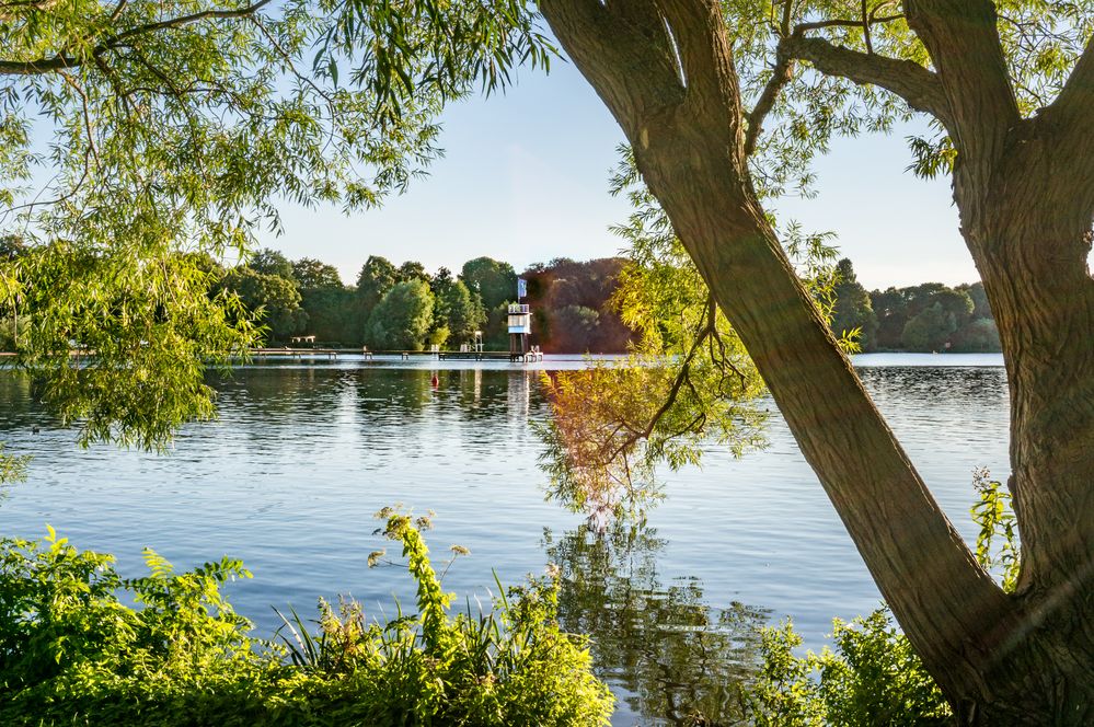 Südufer des Maschsees Hannover Foto & Bild wasser, teich, natur