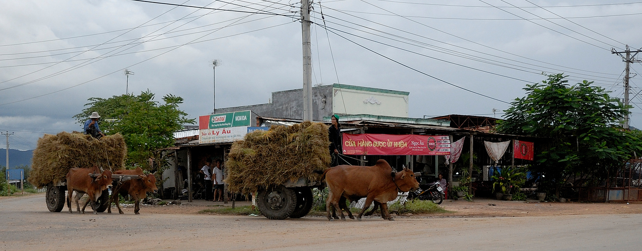 Südvietnam --- Traditioneller Transport nach der Reisernte