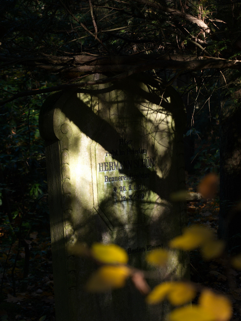 Südwestfriedhof Stahnsdorf Vergessen 1