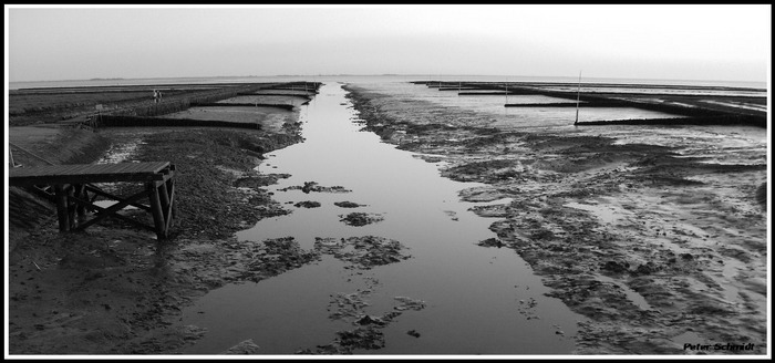 Südwesthörn bei Ebbe