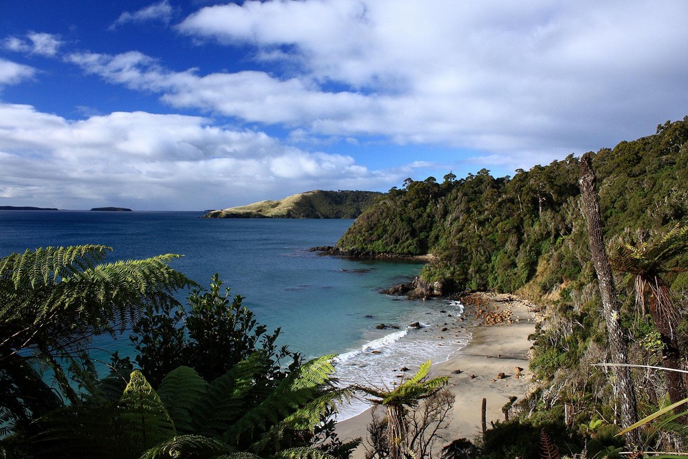 Südwinter auf Stewart Island