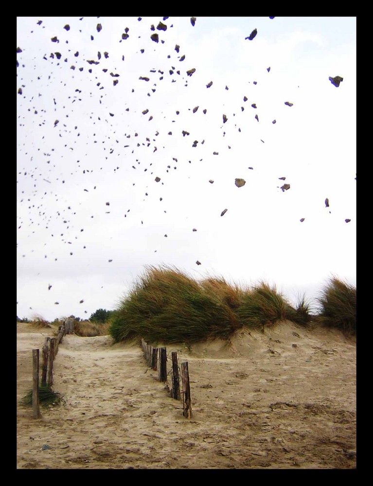 :::::süfrankreich/strandschleuder::::