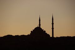 Sülemaniye Moschee - Scherenschnitt