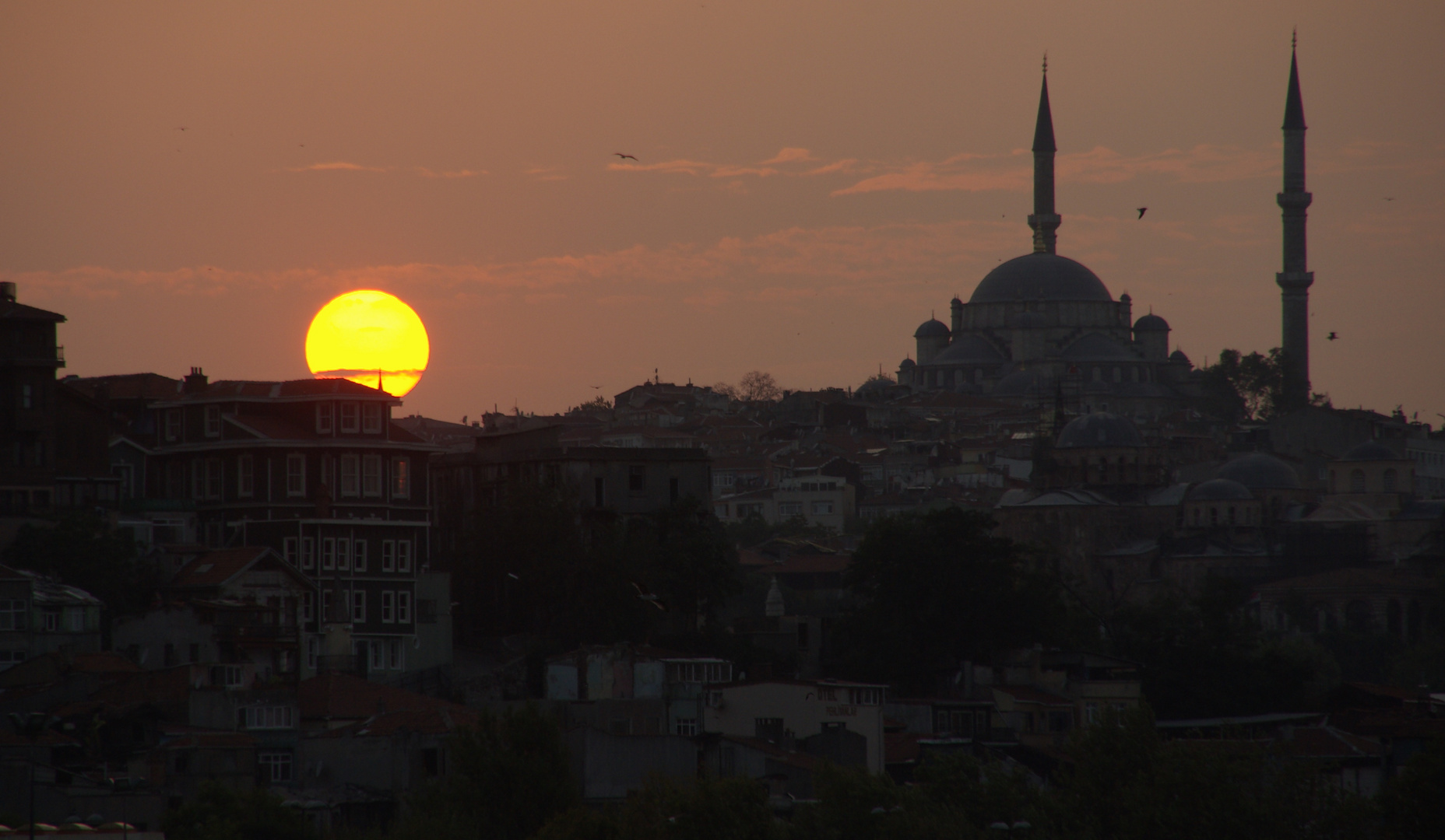 Süleyman Moschee