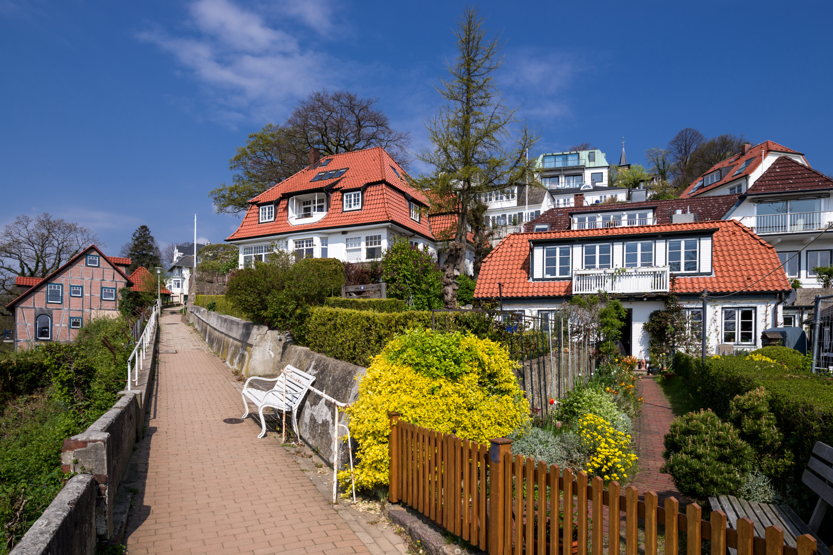 Süllberg Anstieg mit Ruhebank