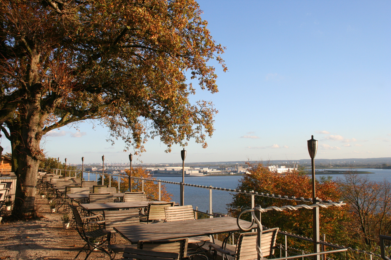 Süllberg im Herbst